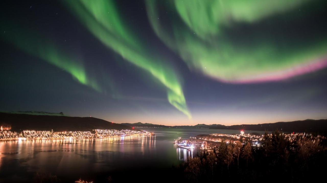 Skjomen Lodge Elvegard Dış mekan fotoğraf