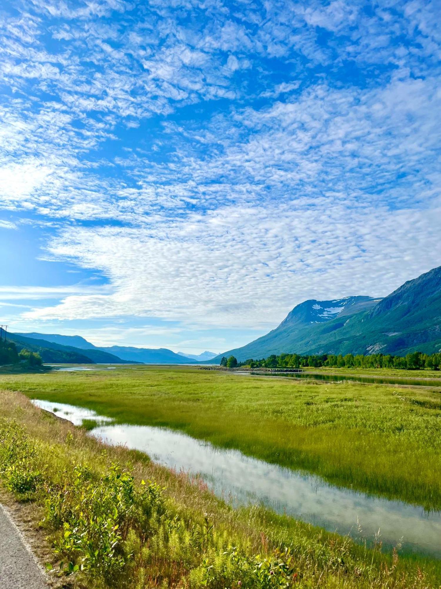 Skjomen Lodge Elvegard Dış mekan fotoğraf